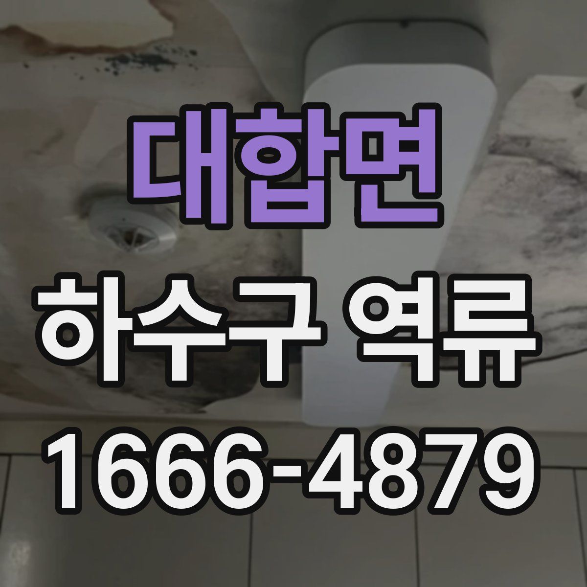대합면 하수구 역류