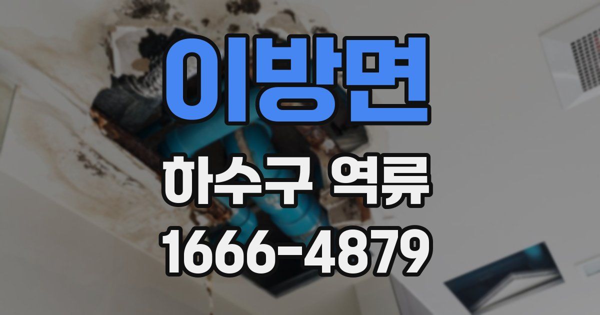 이방면 하수구 역류