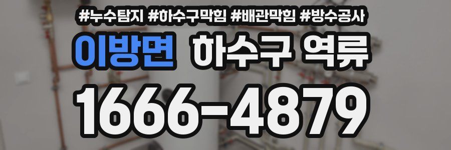 이방면 하수구 역류