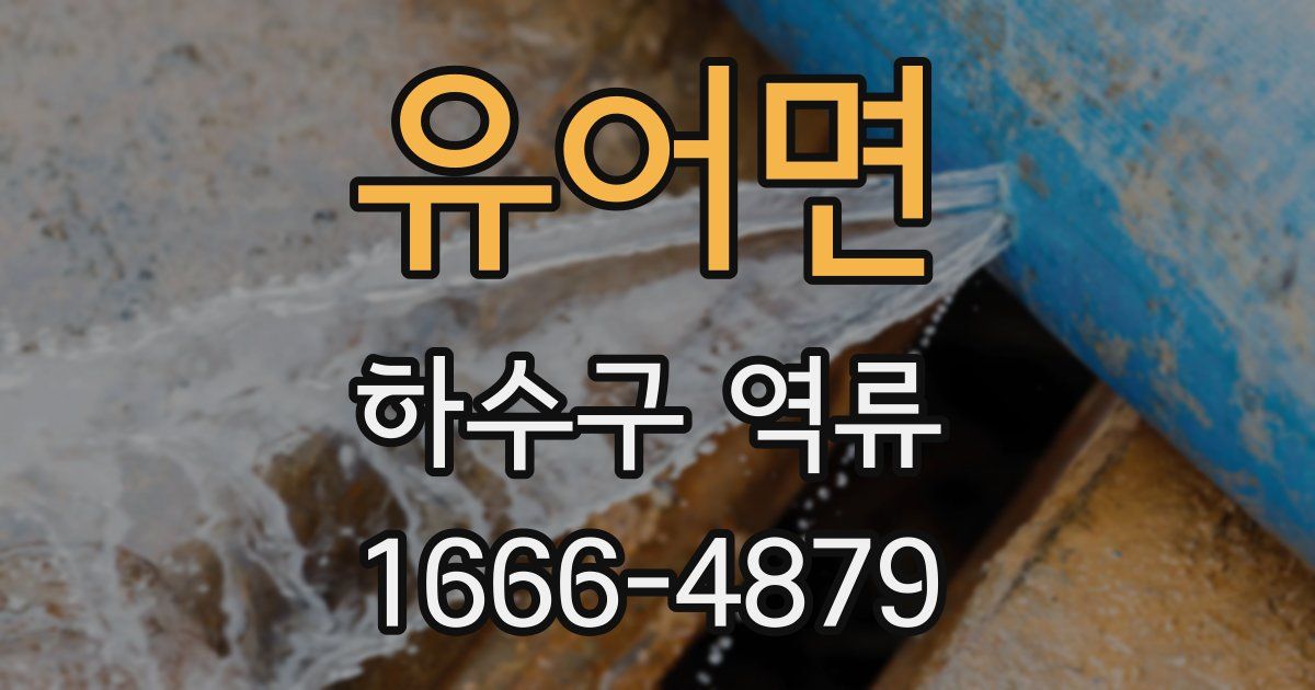 유어면 하수구 역류