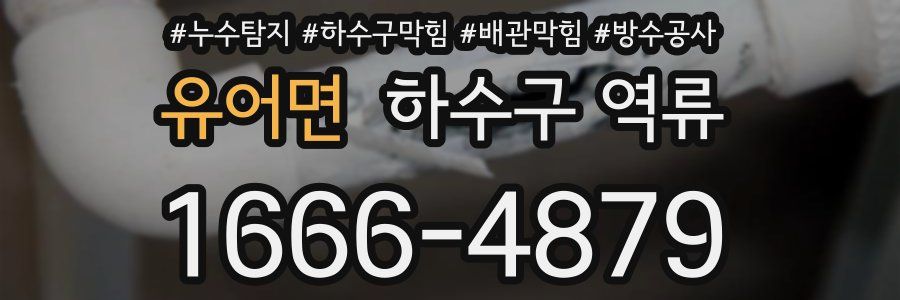 유어면 하수구 역류