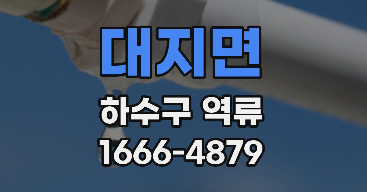대지면 하수구 역류