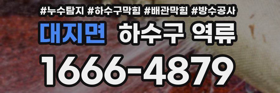 대지면 하수구 역류