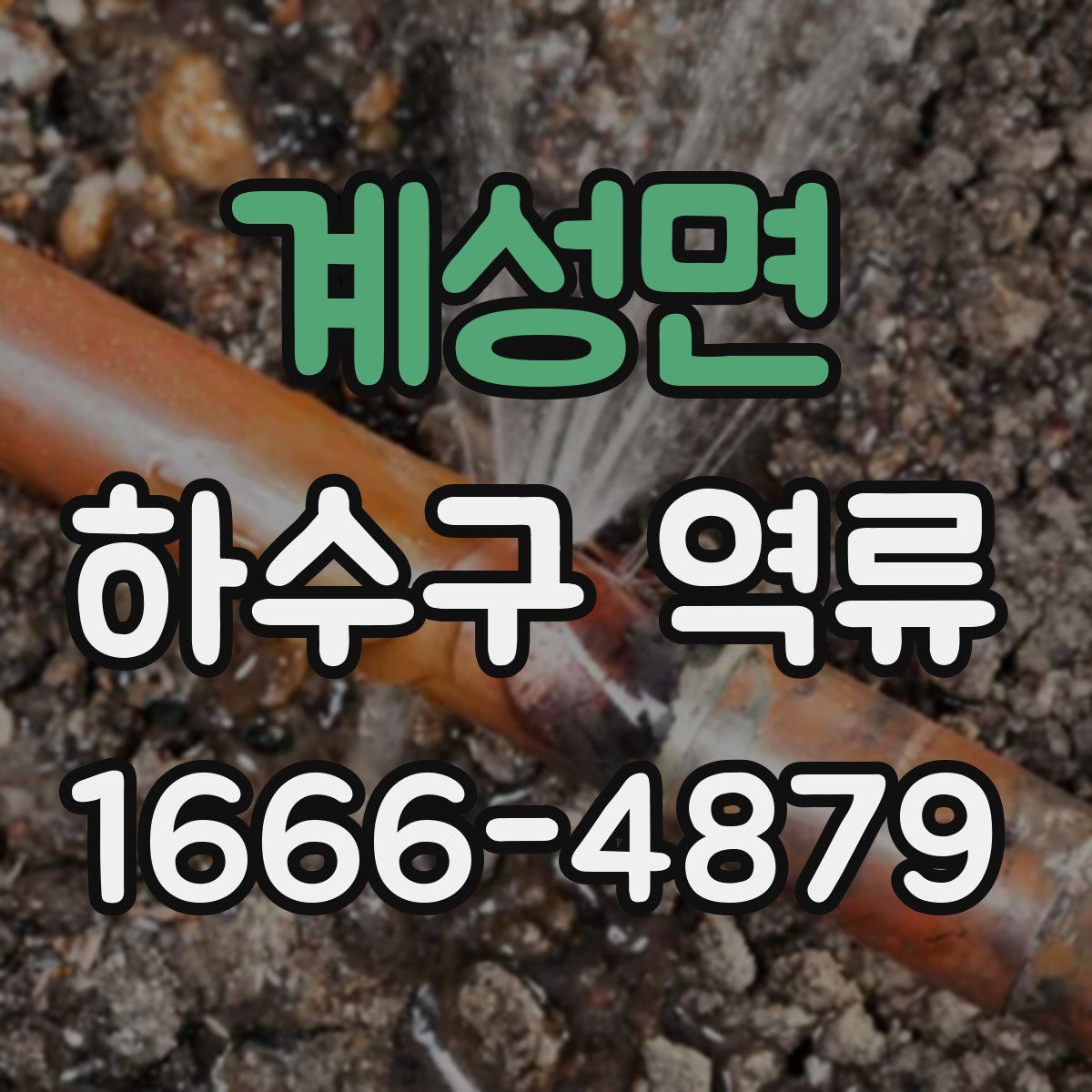 계성면 하수구 역류