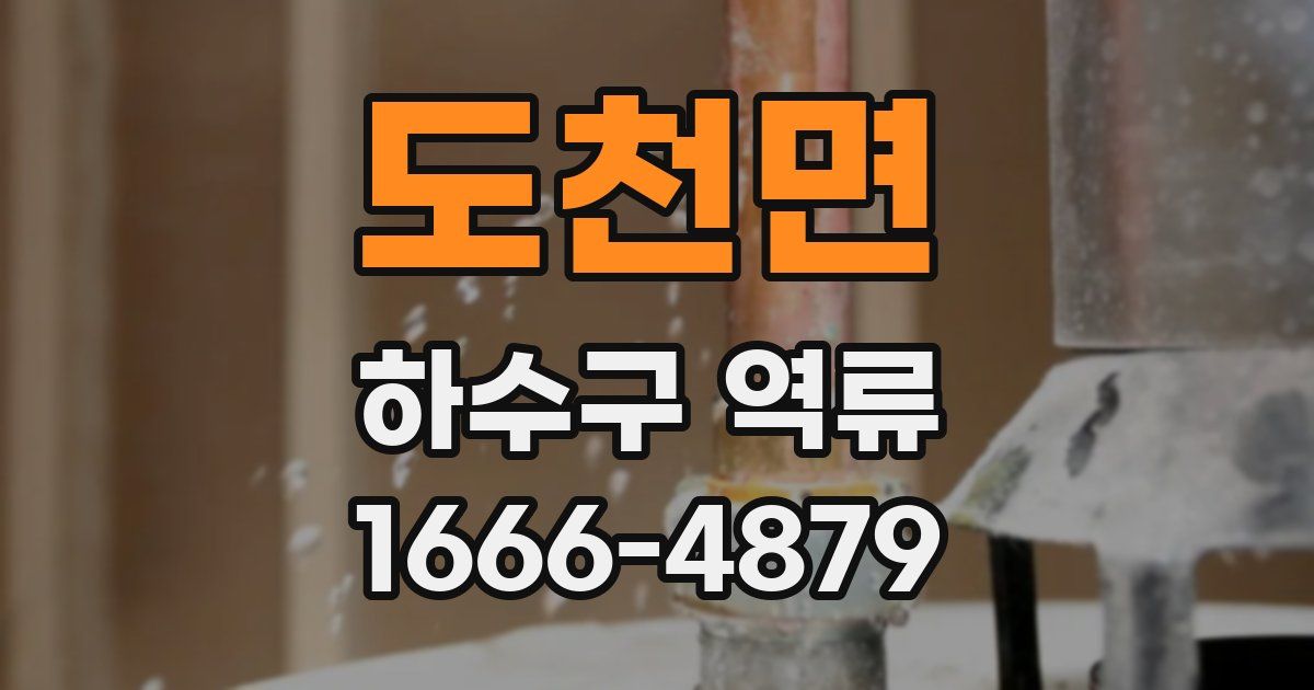 도천면 하수구 역류