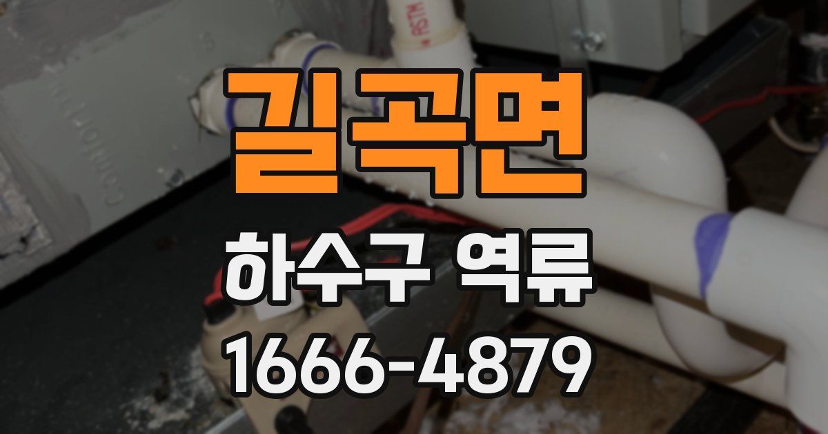 길곡면 하수구 역류