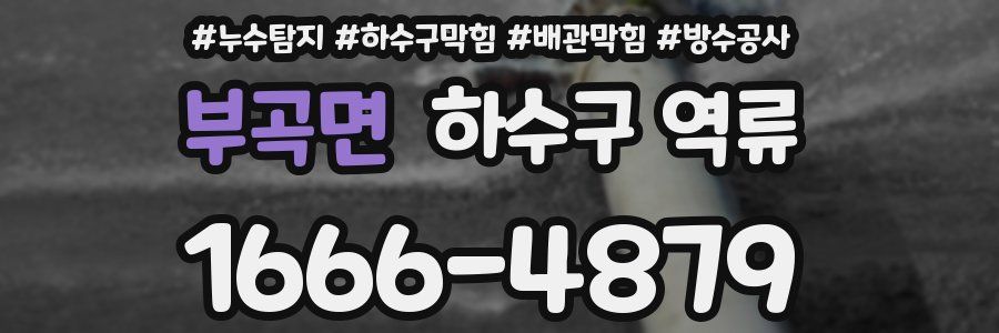 부곡면 하수구 역류