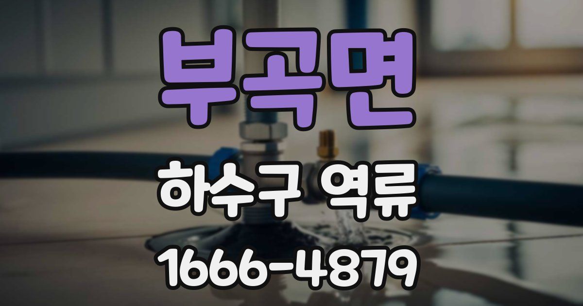 부곡면 하수구 역류