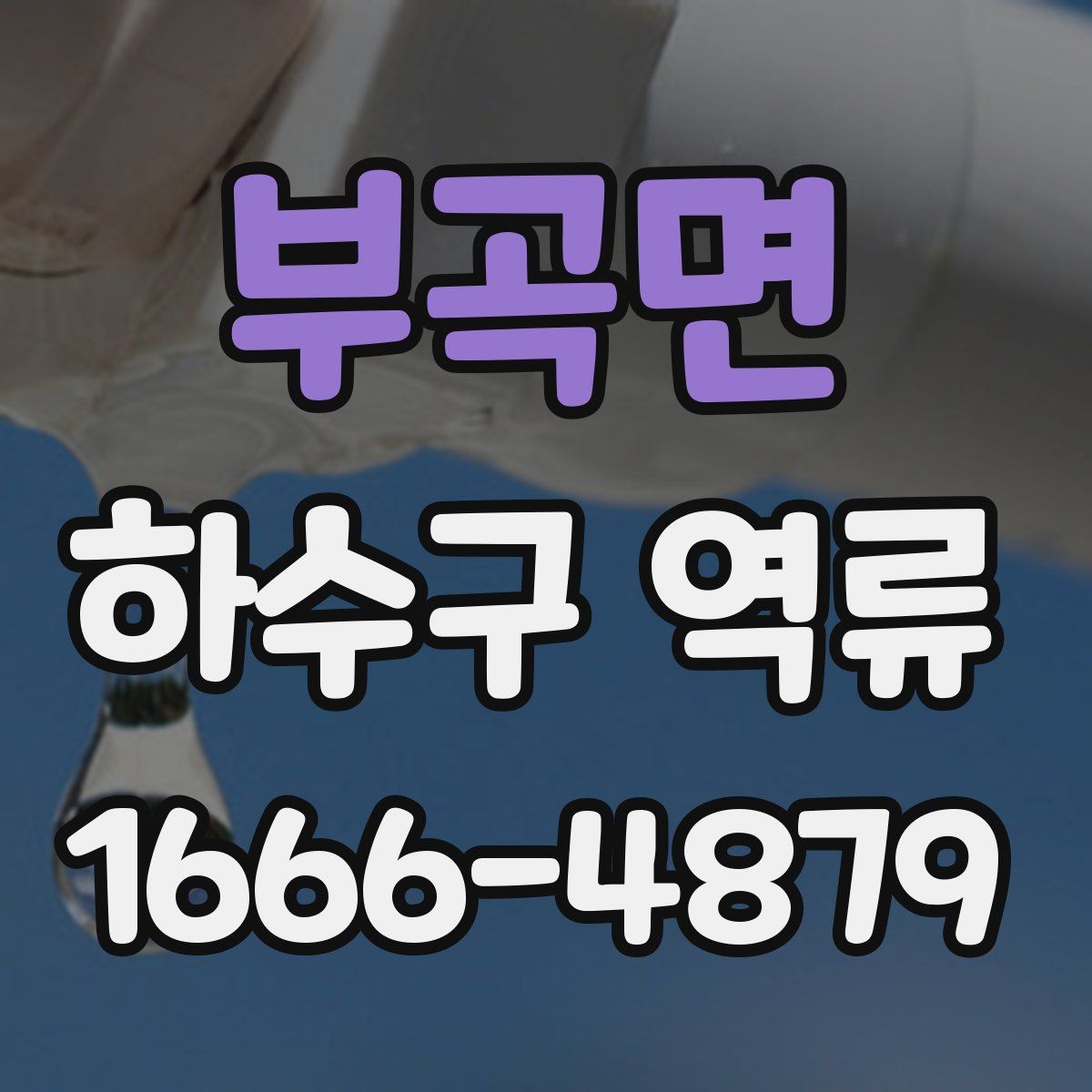 부곡면 하수구 역류