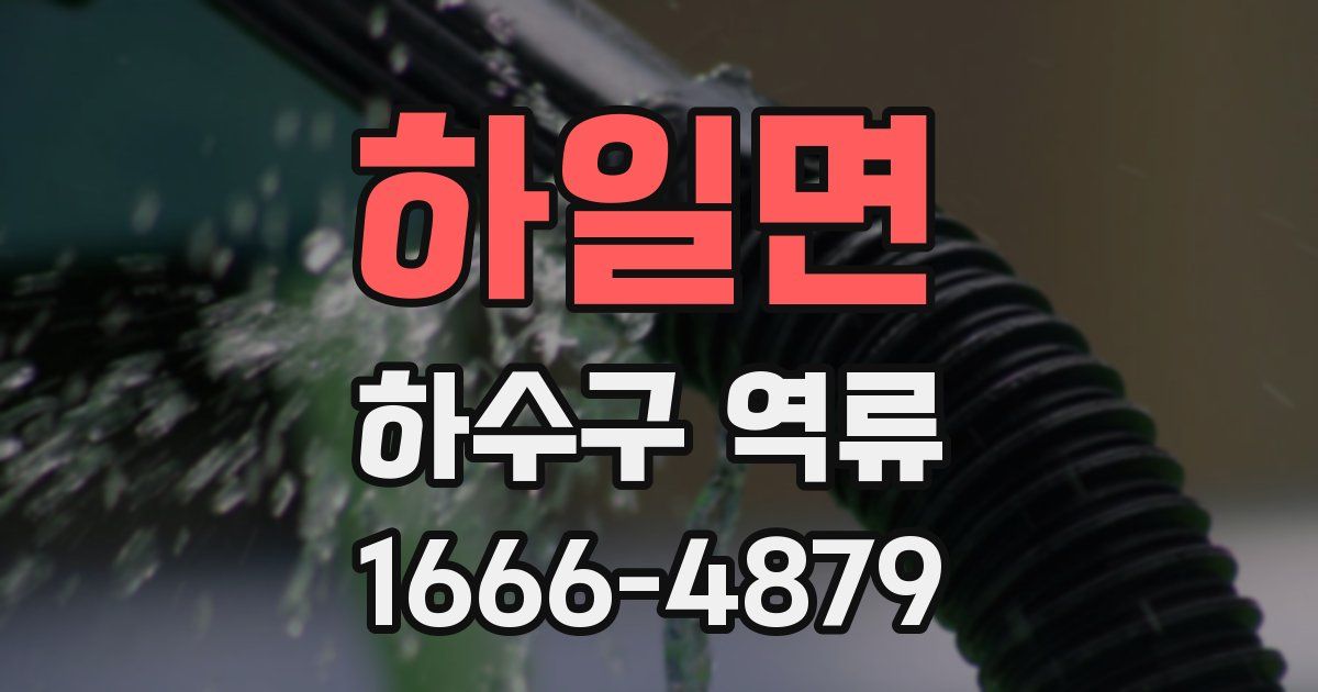 하일면 하수구 역류