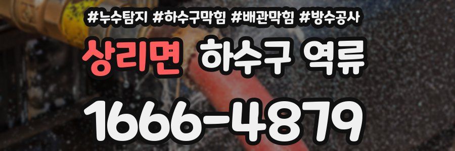 상리면 하수구 역류