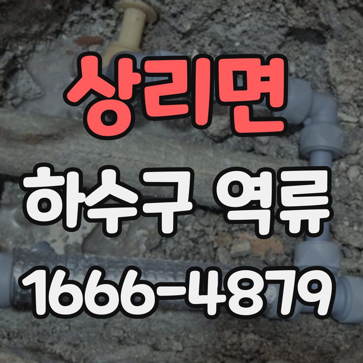 상리면 하수구 역류