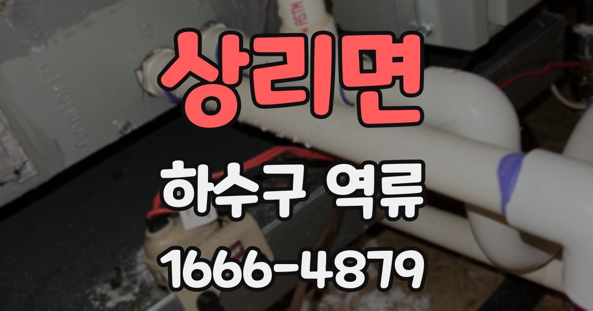 상리면 하수구 역류