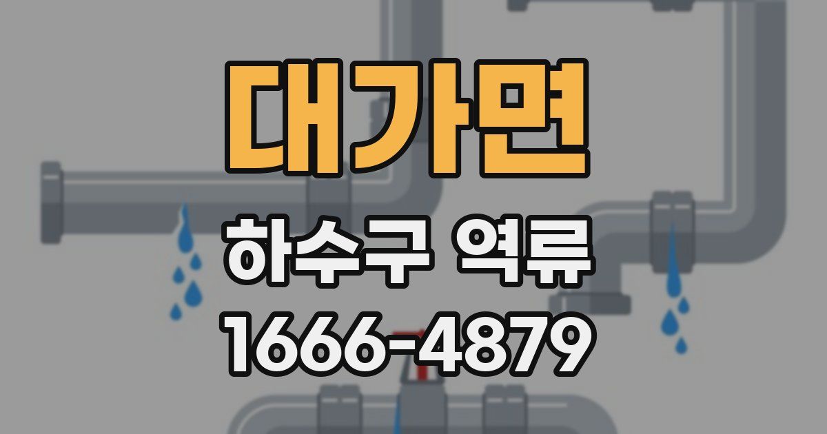 대가면 하수구 역류