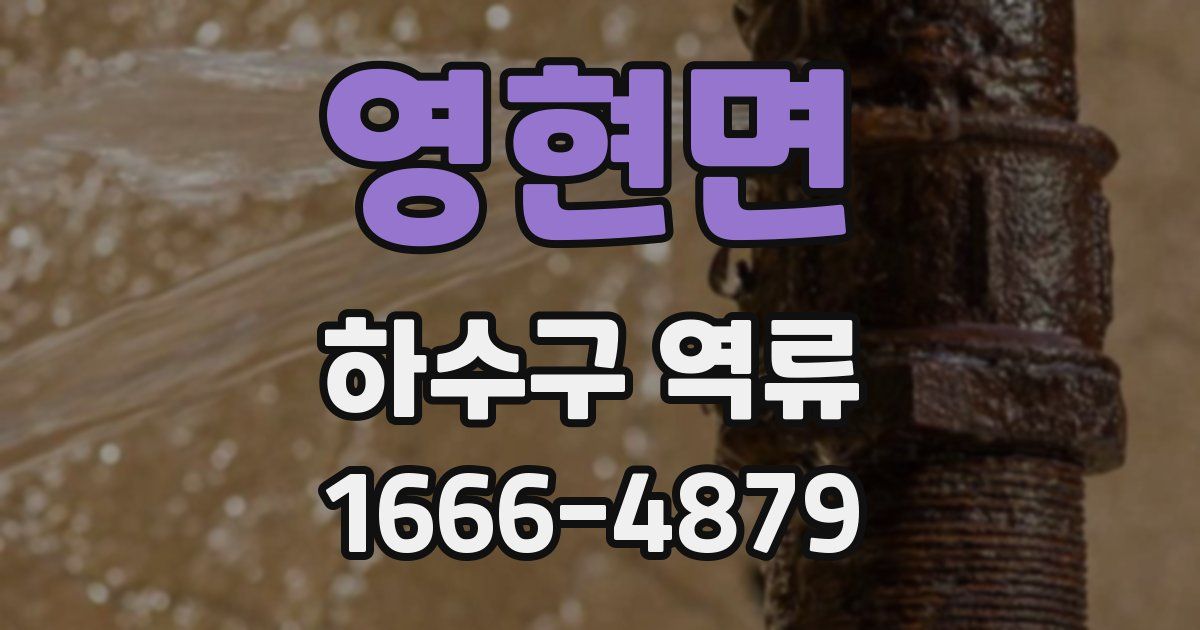 영현면 하수구 역류