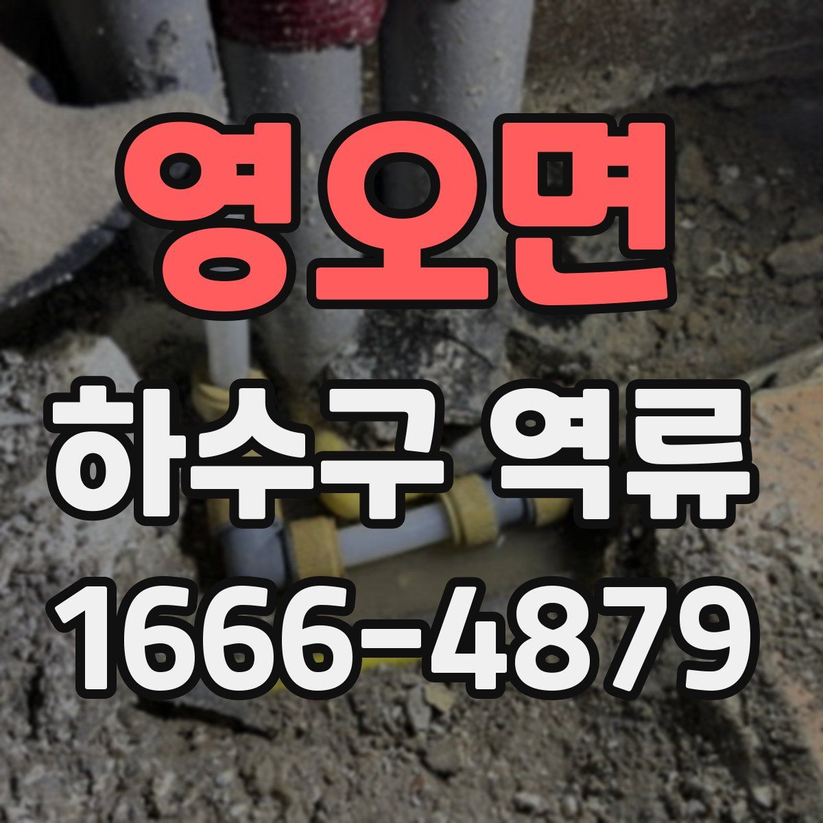 영오면 하수구 역류