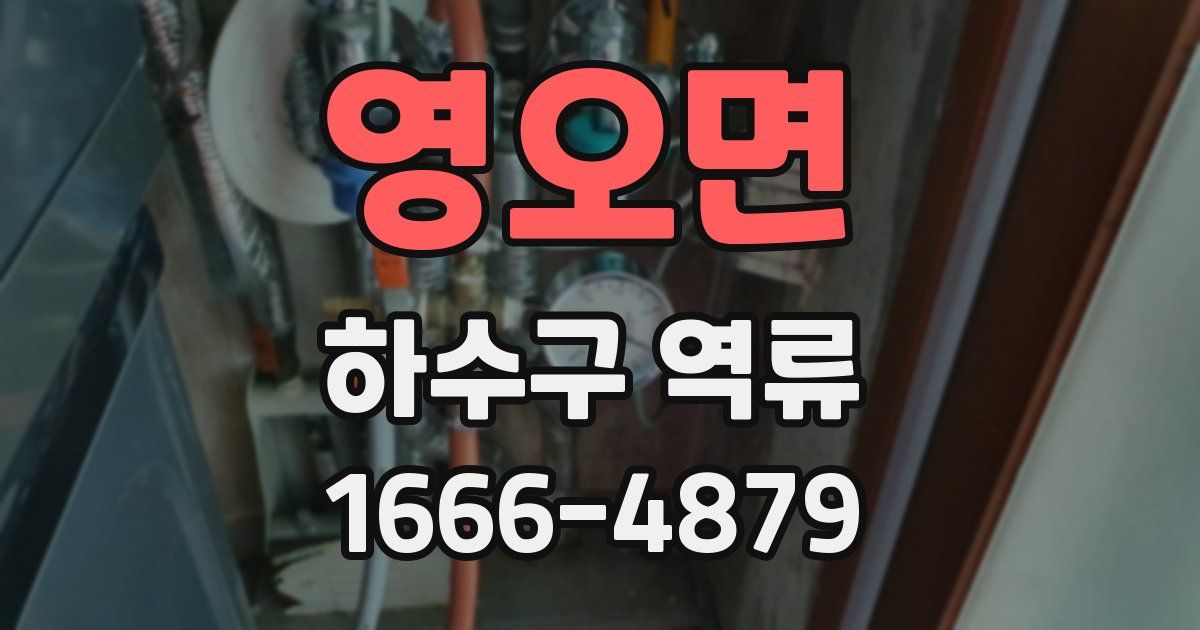 영오면 하수구 역류