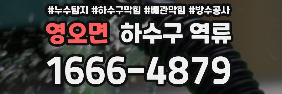 영오면 하수구 역류