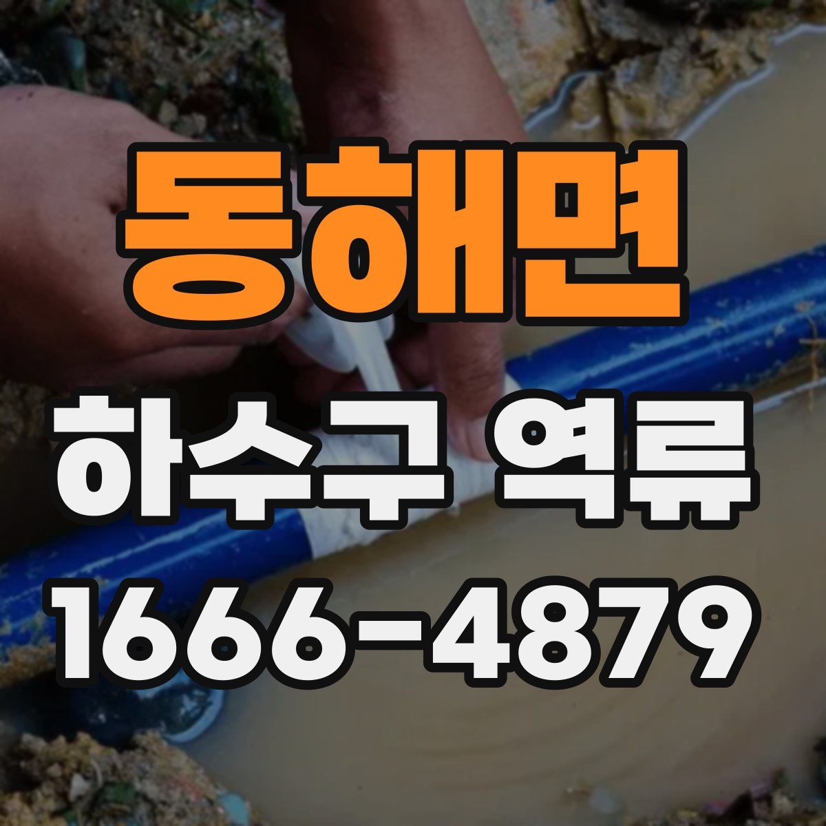 동해면 하수구 역류
