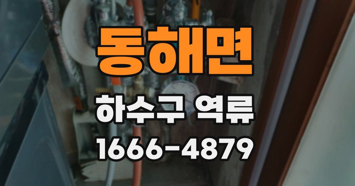 동해면 하수구 역류