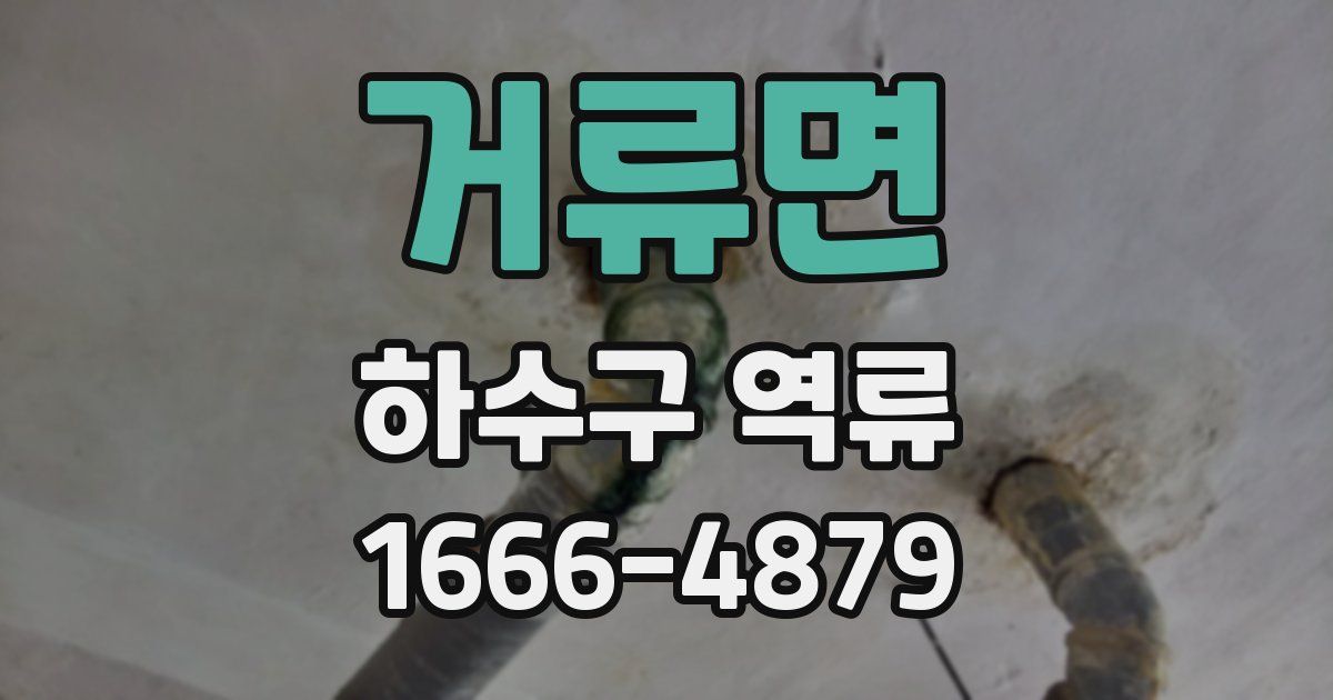 거류면 하수구 역류