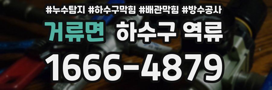 거류면 하수구 역류