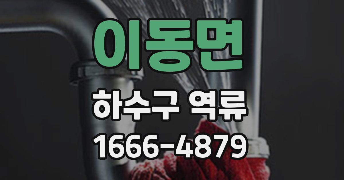 이동면 하수구 역류