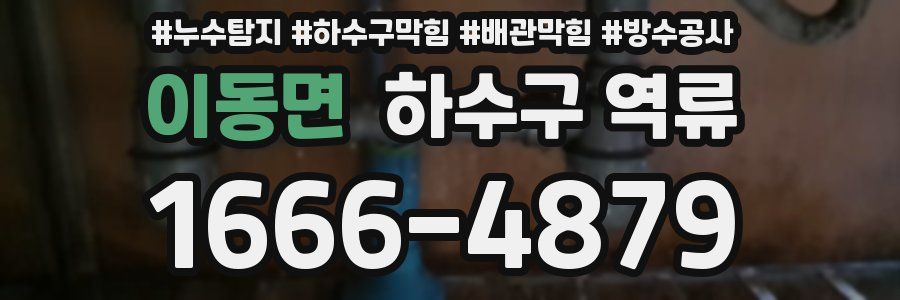 이동면 하수구 역류