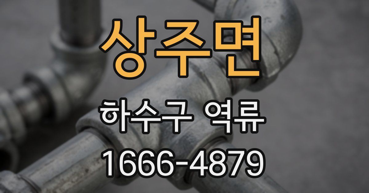 상주면 하수구 역류