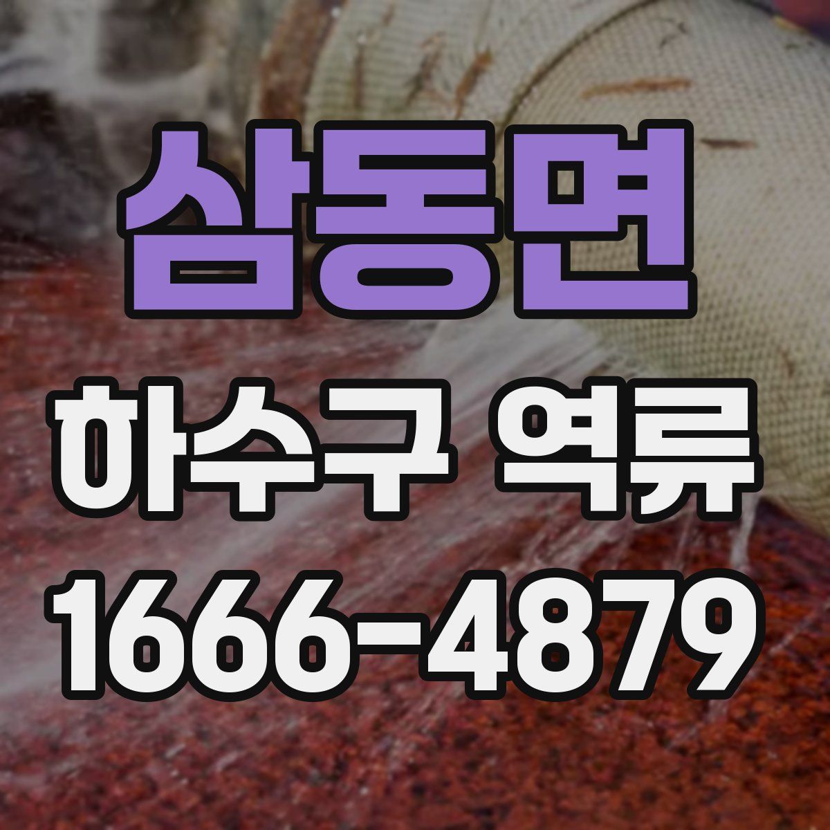 삼동면 하수구 역류