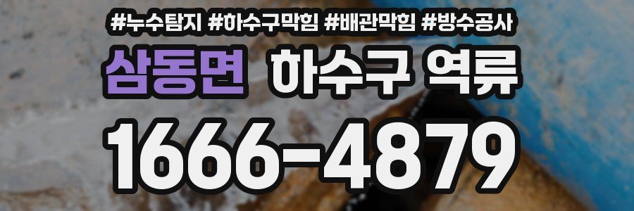 삼동면 하수구 역류