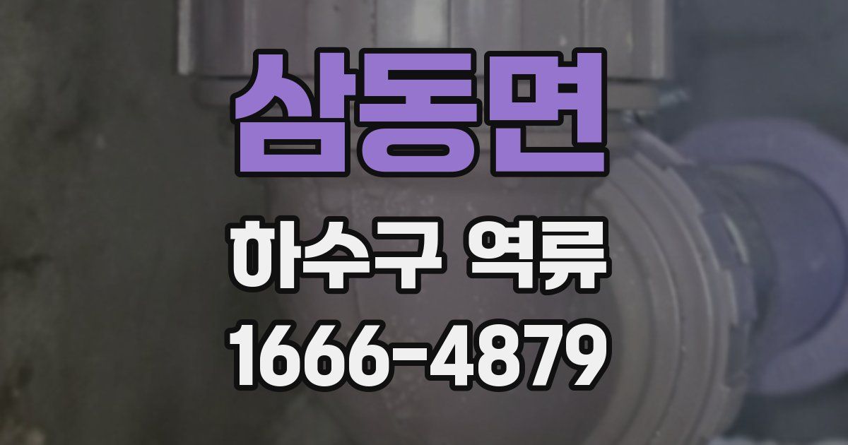 삼동면 하수구 역류