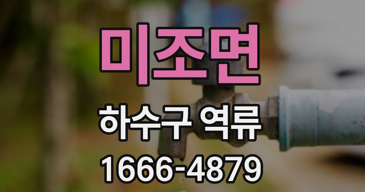 미조면 하수구 역류