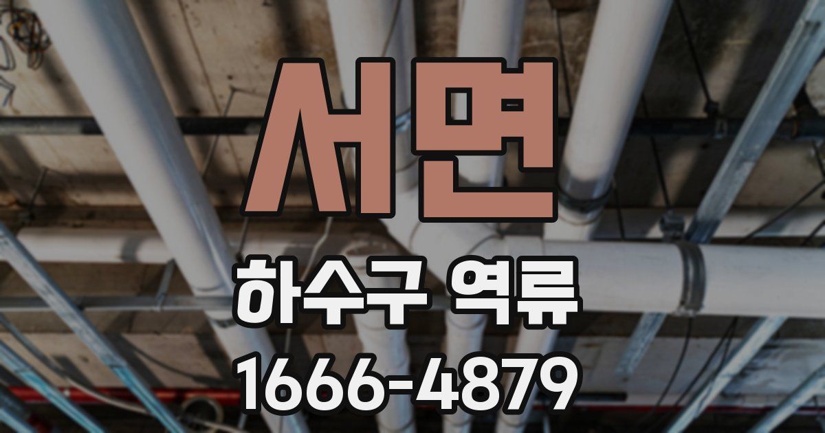서면 하수구 역류