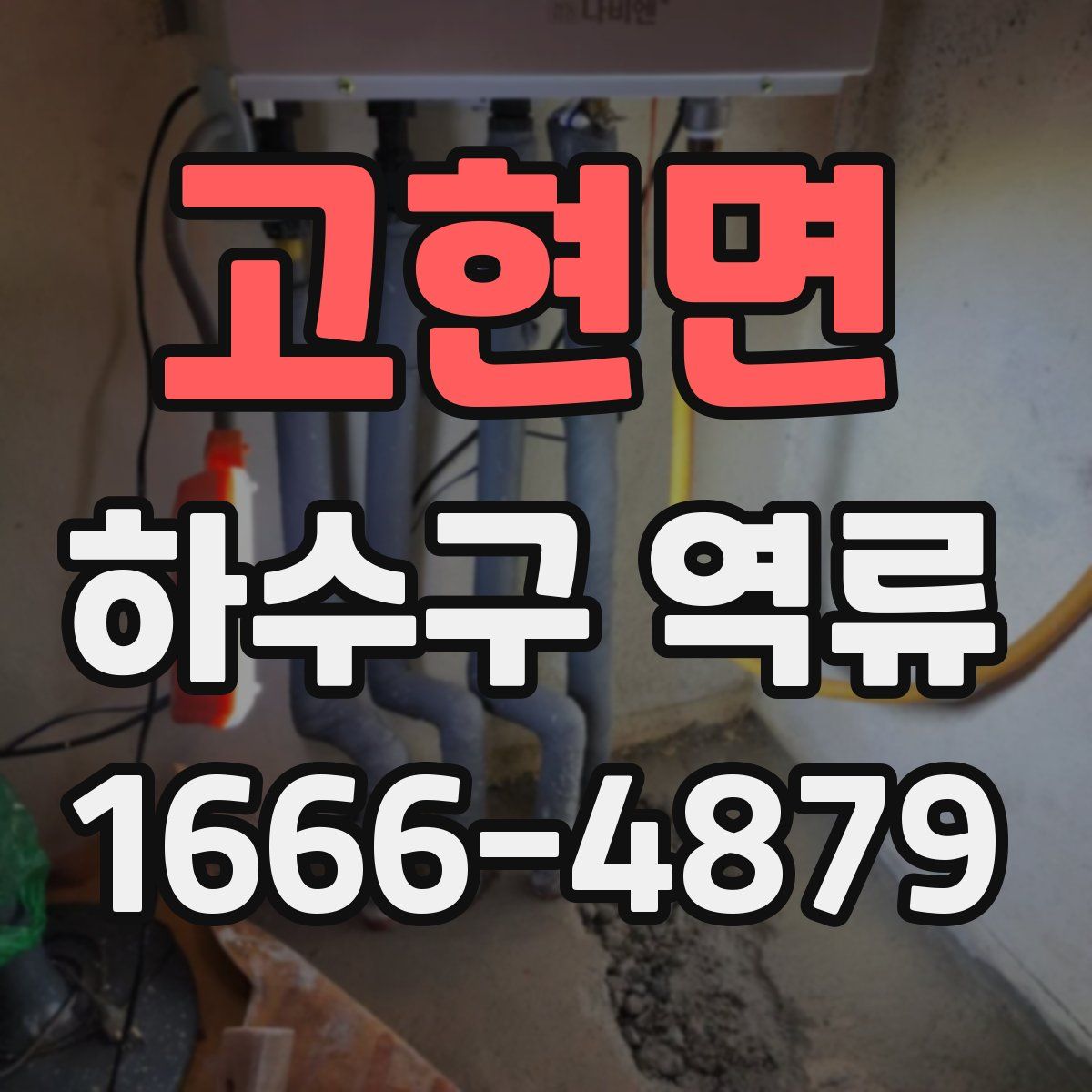 고현면 하수구 역류