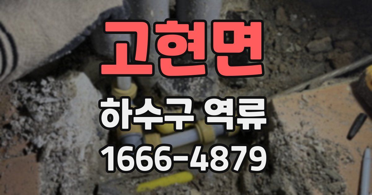 고현면 하수구 역류