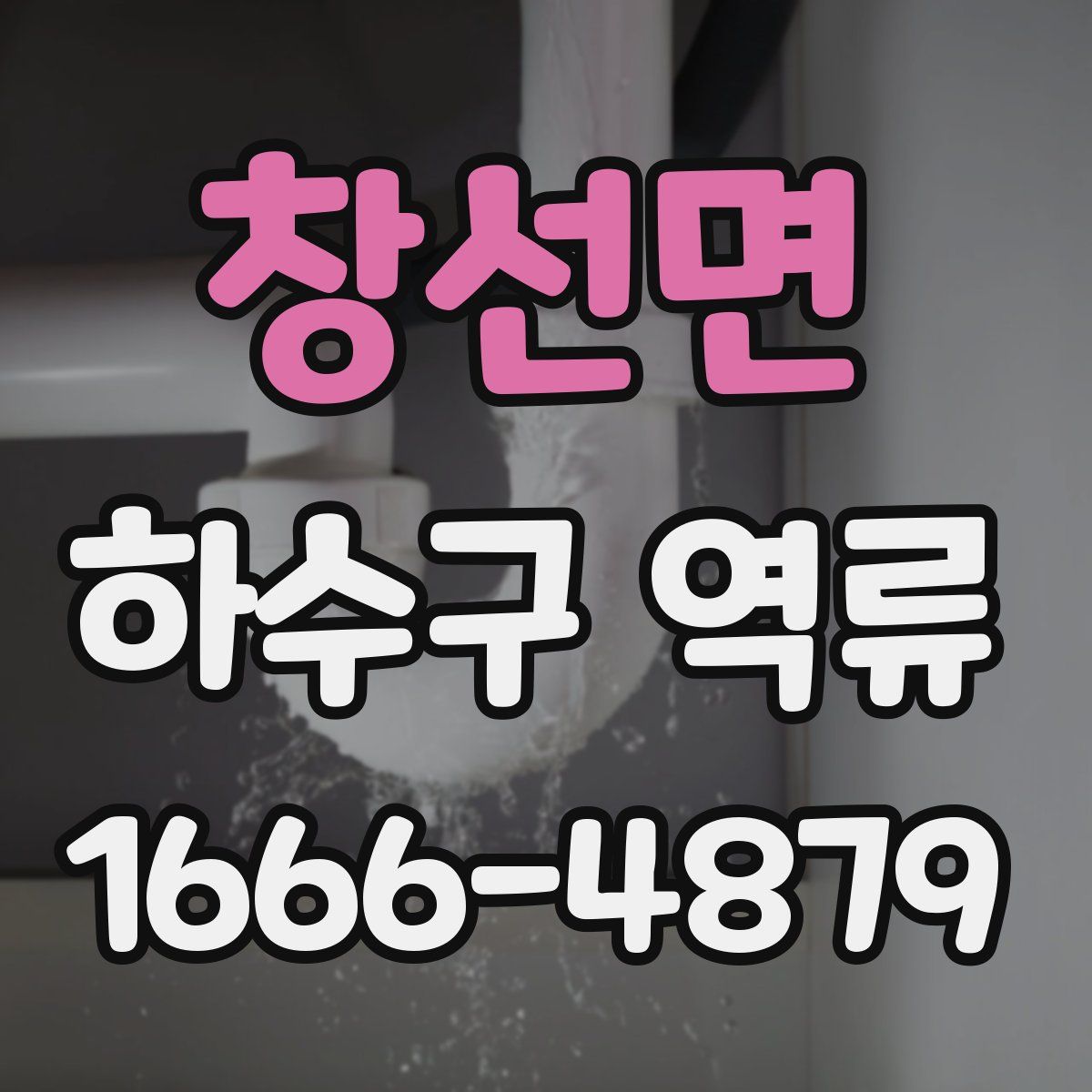 창선면 하수구 역류