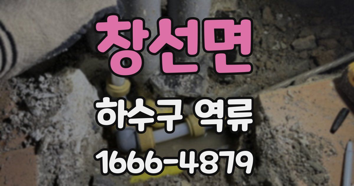창선면 하수구 역류