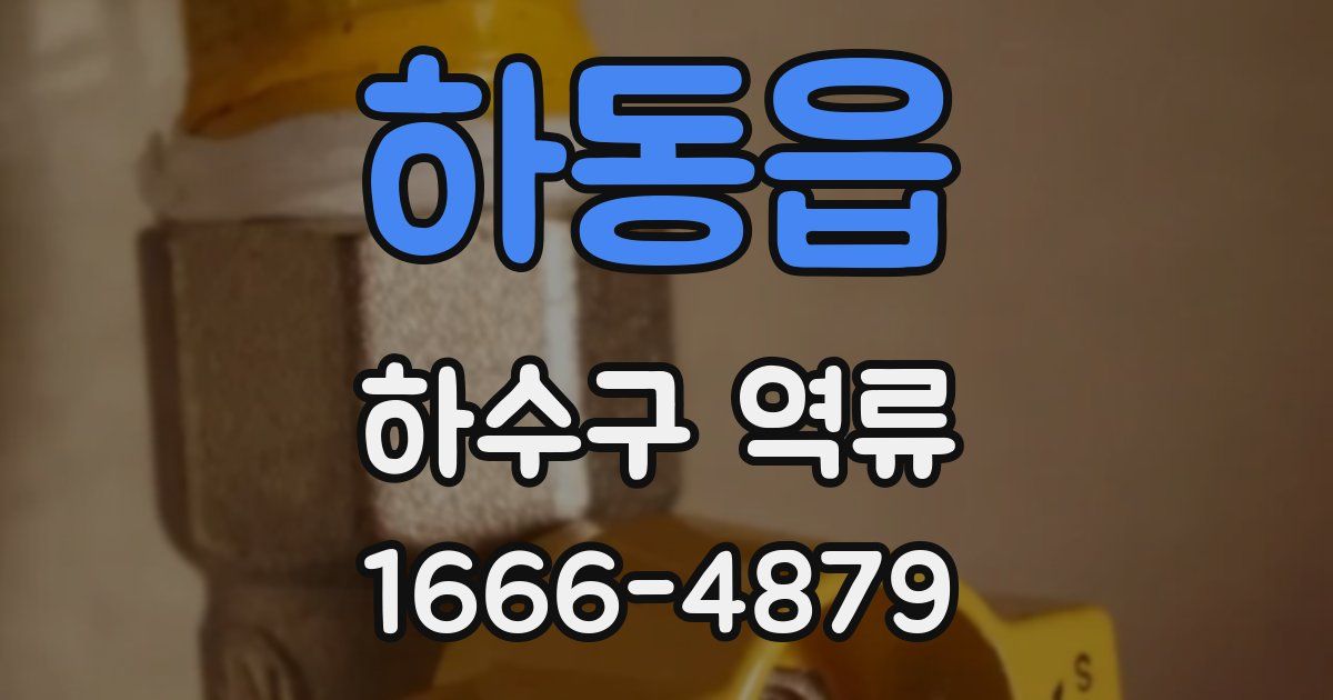 하동읍 하수구 역류
