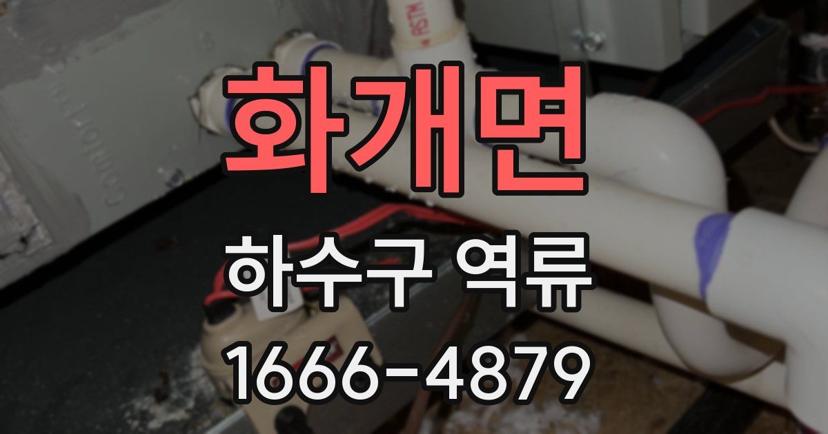 화개면 하수구 역류