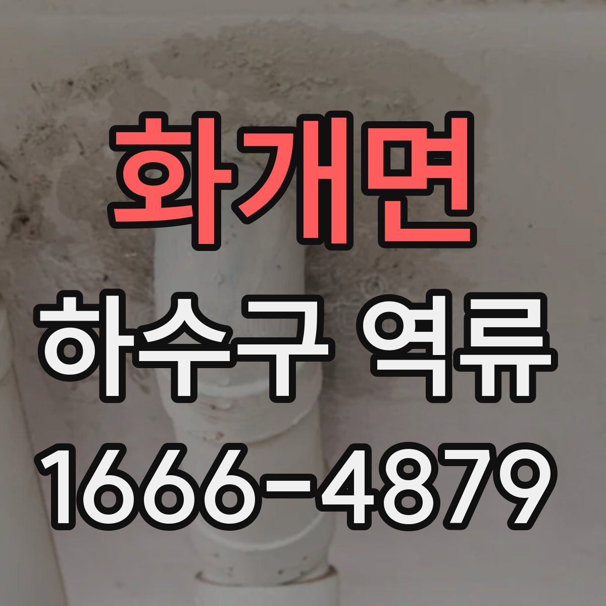 화개면 하수구 역류