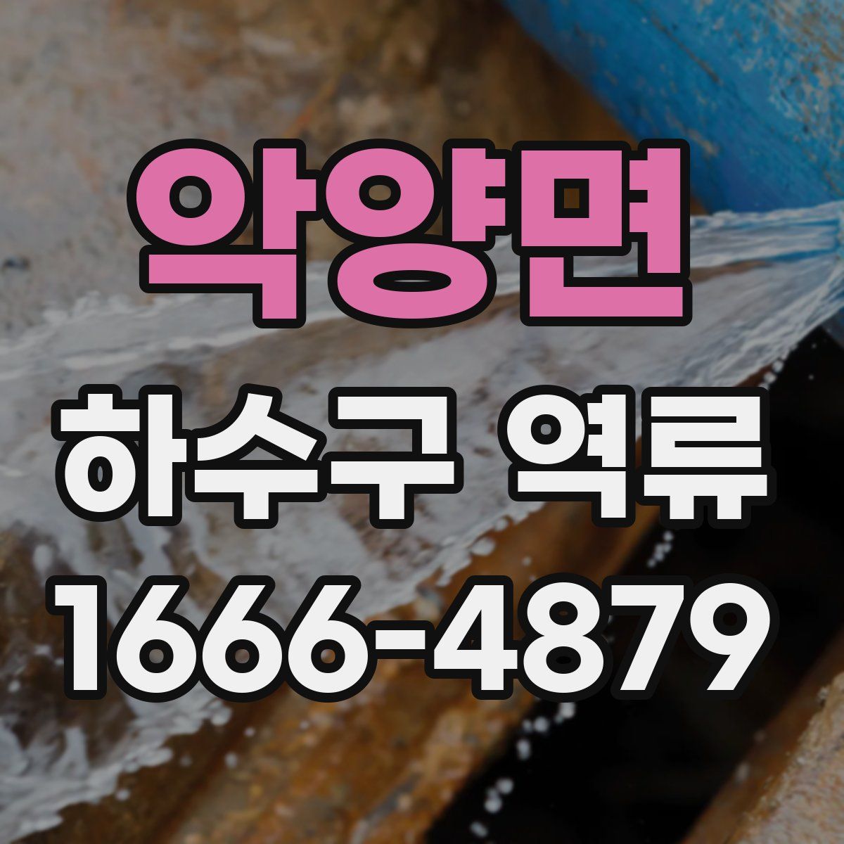 악양면 하수구 역류