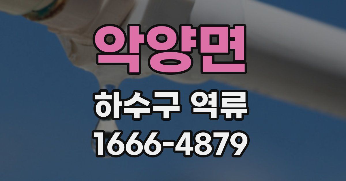 악양면 하수구 역류