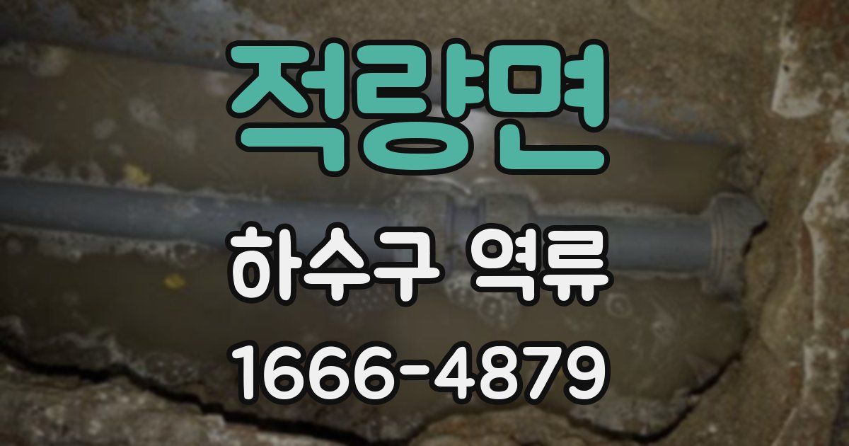 적량면 하수구 역류