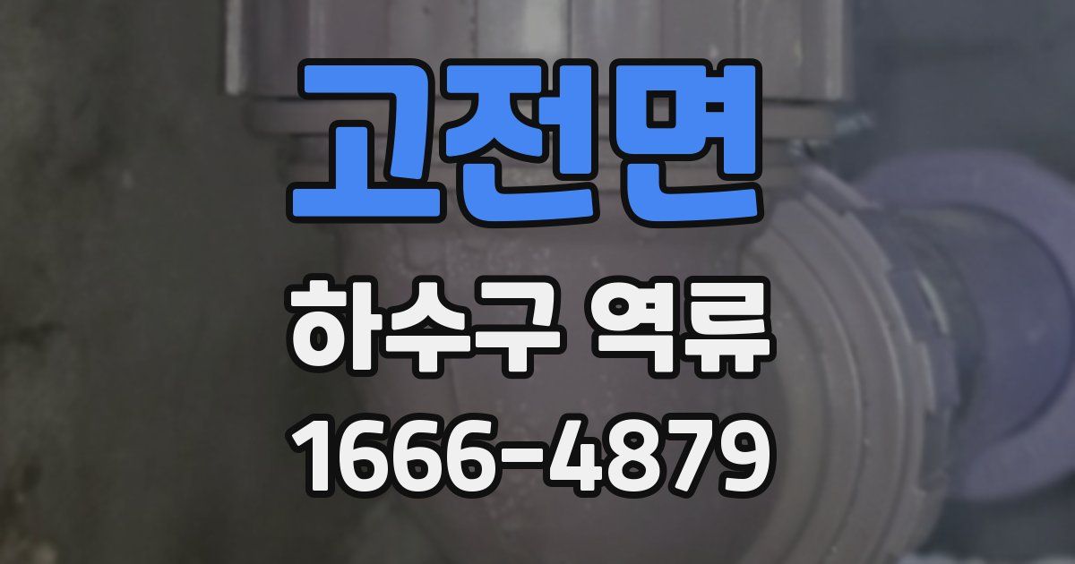 고전면 하수구 역류