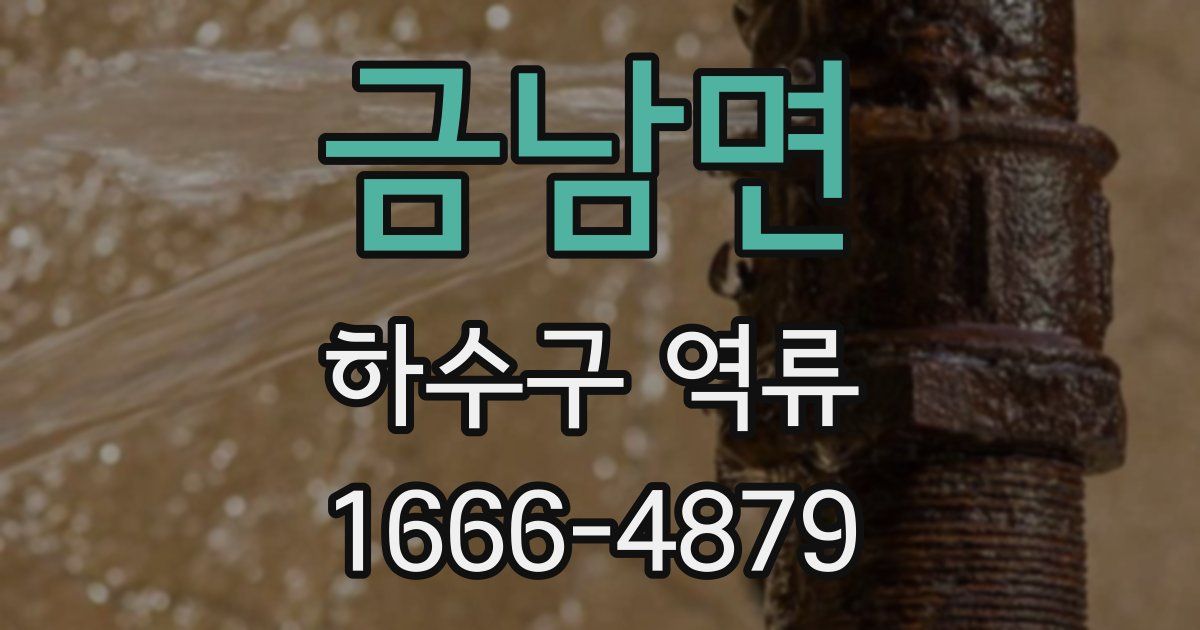 금남면 하수구 역류