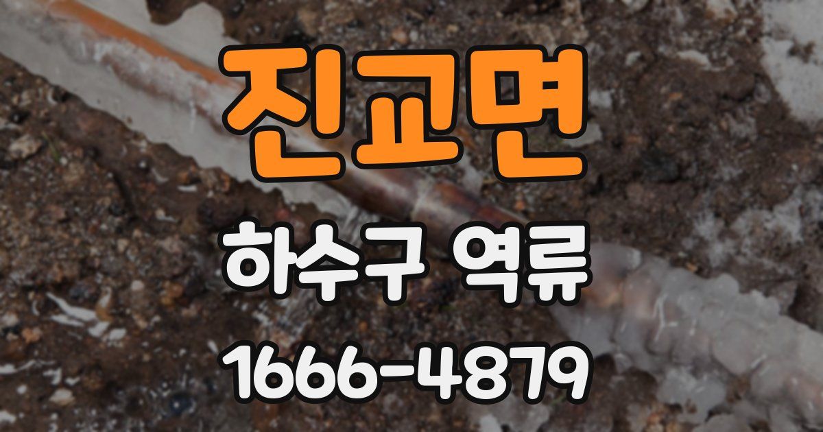 진교면 하수구 역류