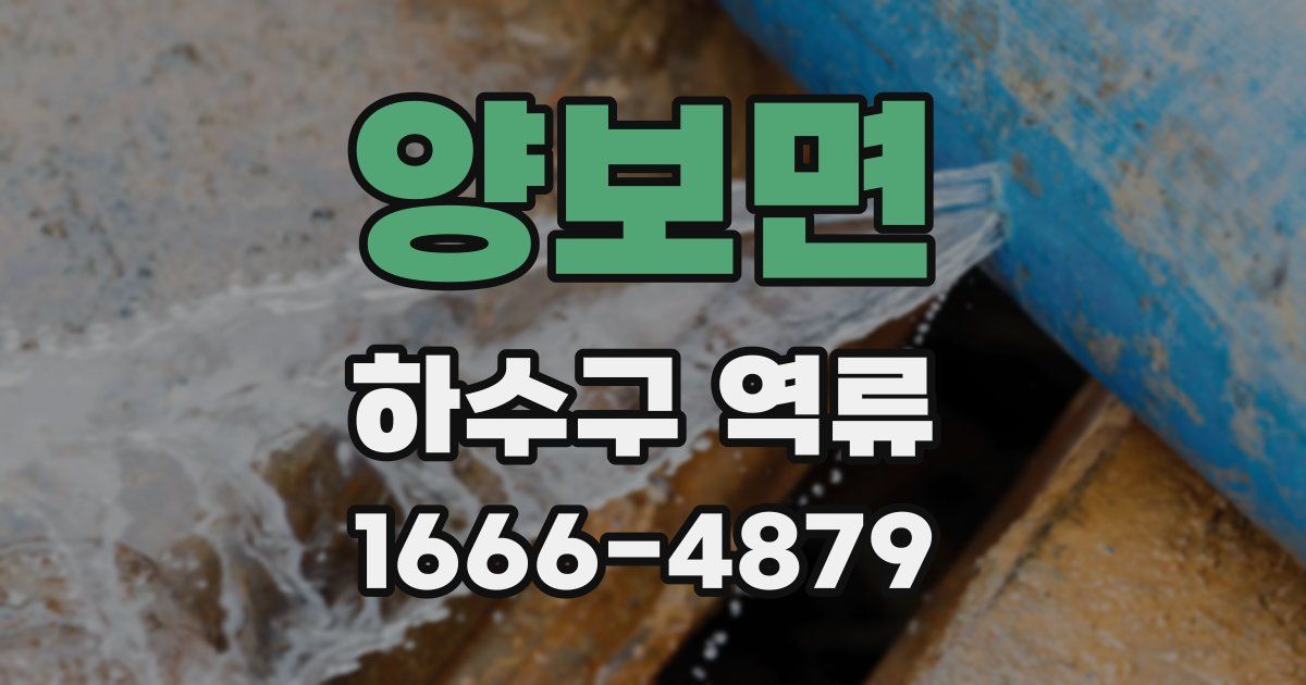 양보면 하수구 역류