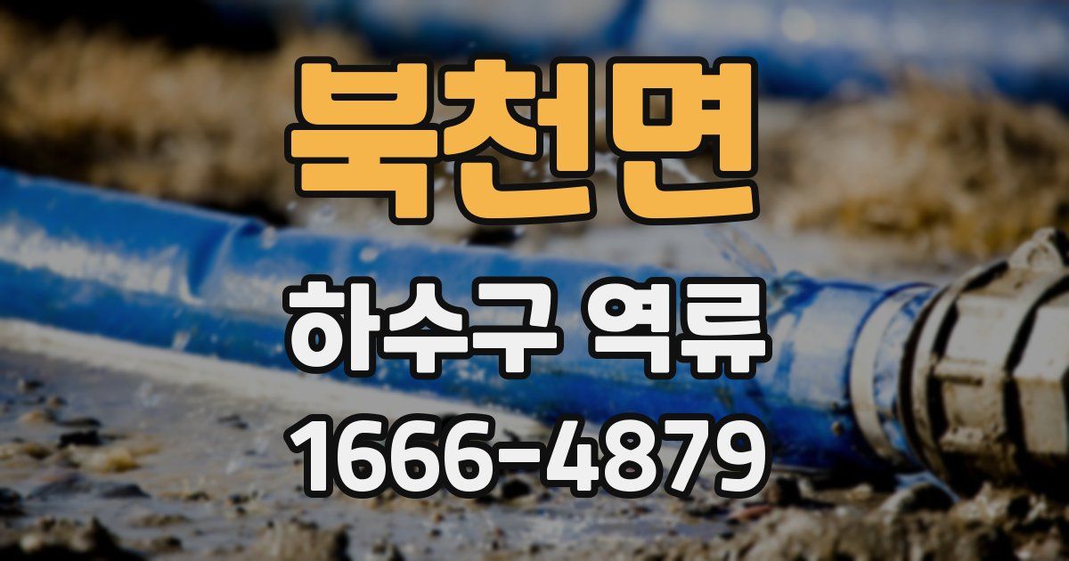북천면 하수구 역류