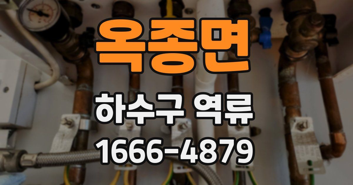 옥종면 하수구 역류